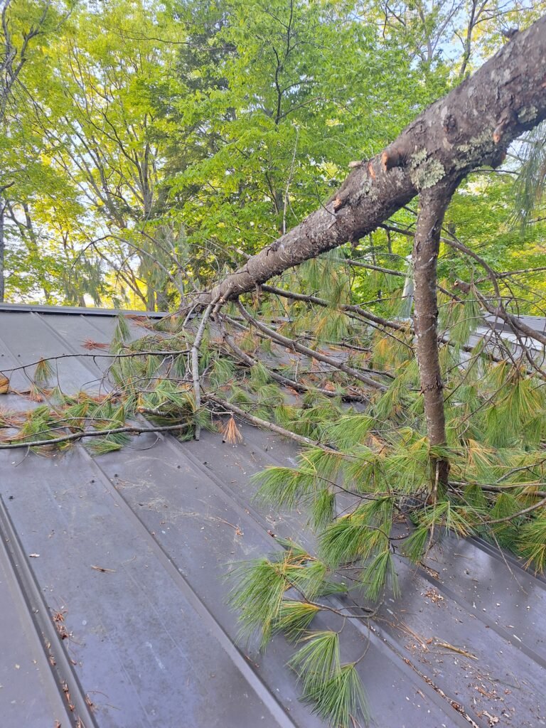 Storm Cleanup Southern Maine removing fallen tree after storm