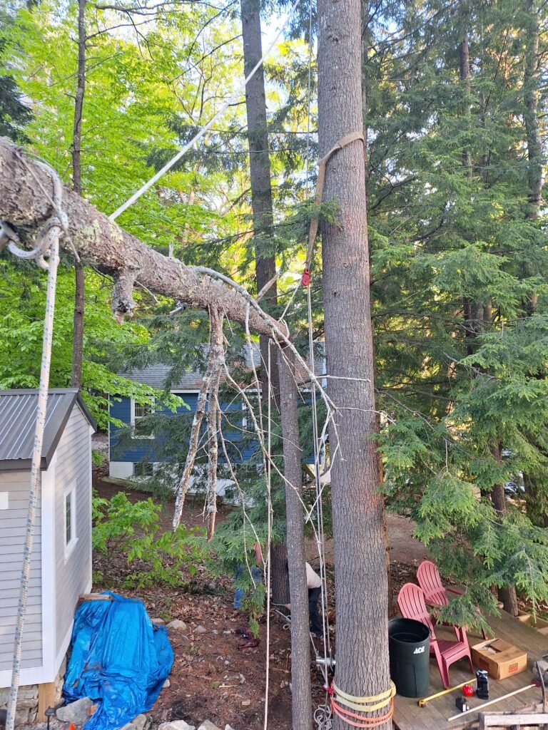 Storm damage tree service Southern Maine clearing hazardous tree debris