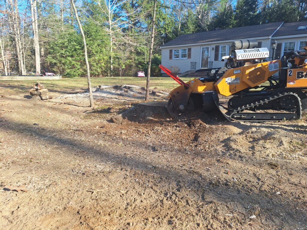 Stump Grinding Limerick Maine removing tree stump from yard
