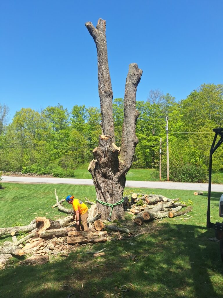 Emergency Tree Service Limerick Maine
