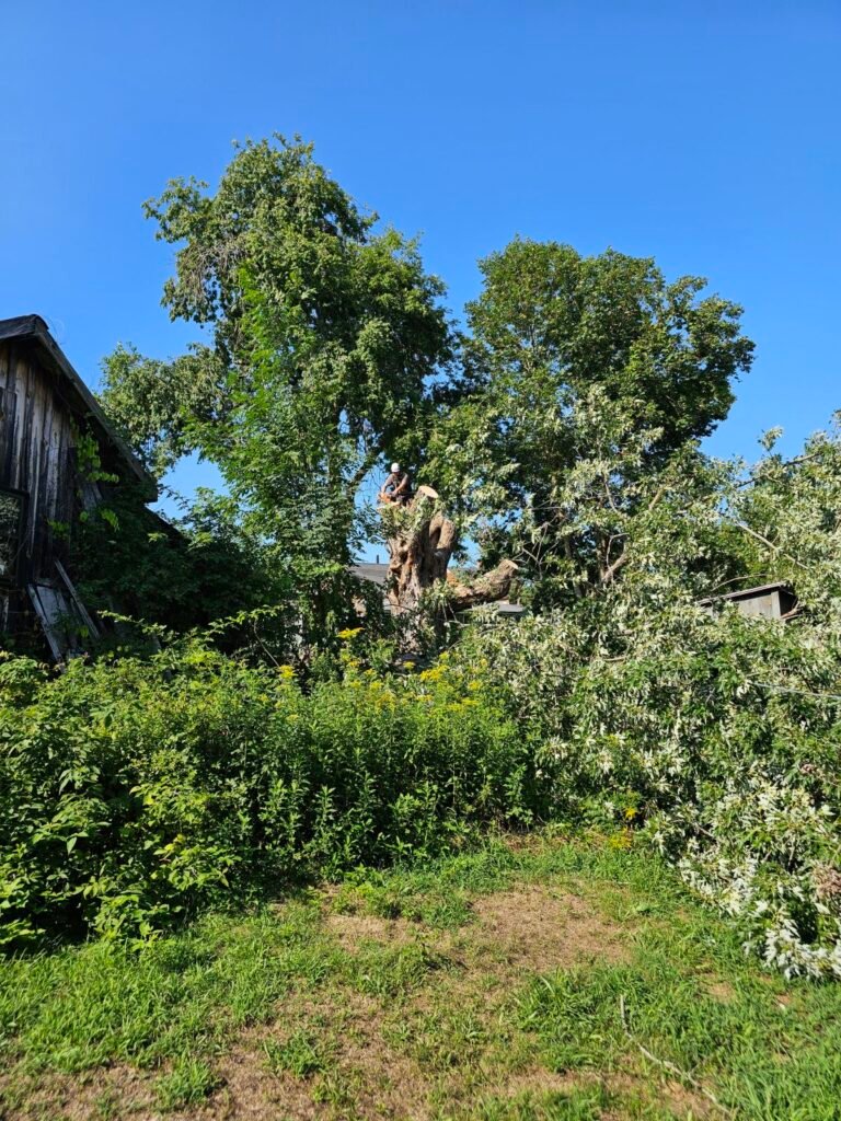 Why Property Owners Choose Us for Lot Clearing Waterboro Maine