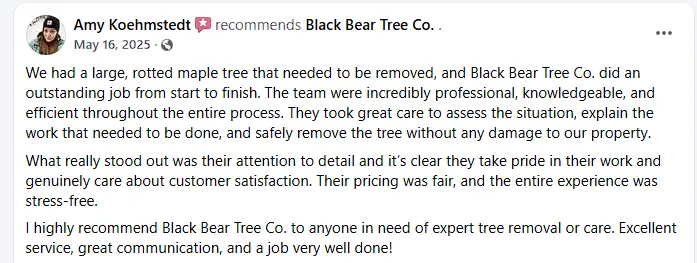 screenshot 2026 03 07 155006