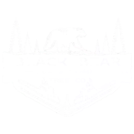 Black Bear Tree Co logo white square tree service in Southern Maine