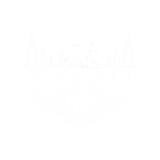 Black Bear Tree Co logo white square tree service in Southern Maine