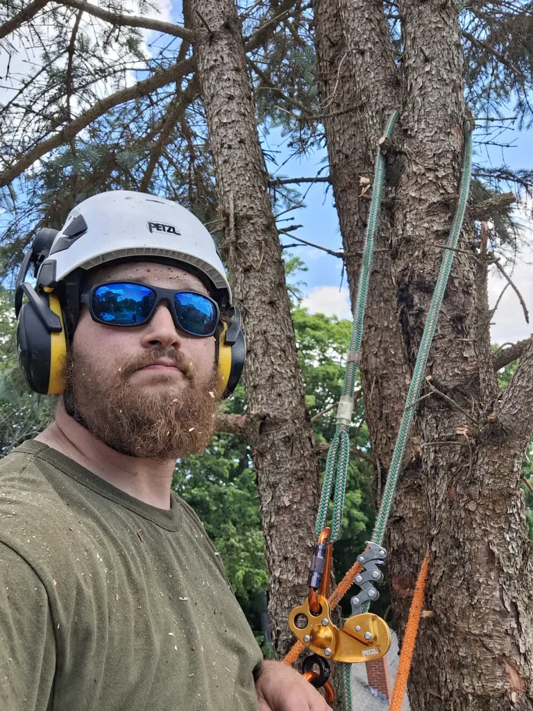 tree service owner