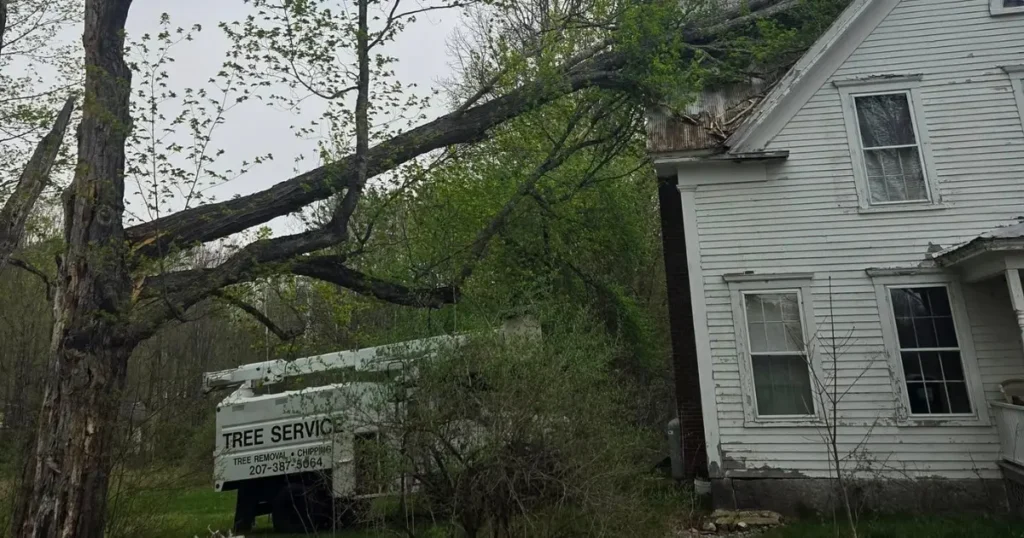Emergency tree removal Maine after severe storm damage caused large trees and limbs to fall near a home.
