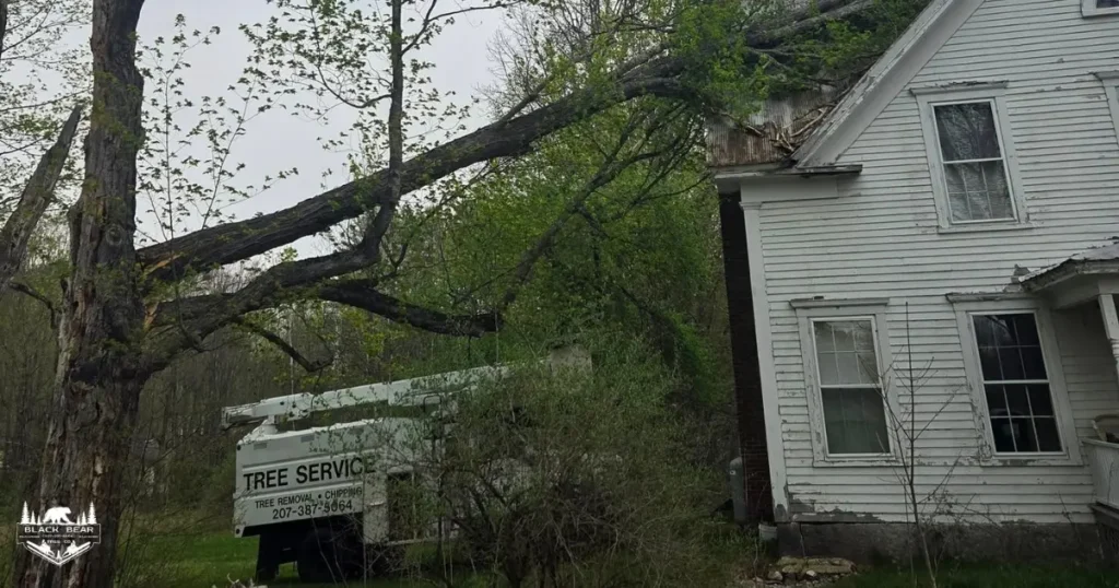 Tree Removal Warning Signs Gorham Maine - damaged tree falling onto a house