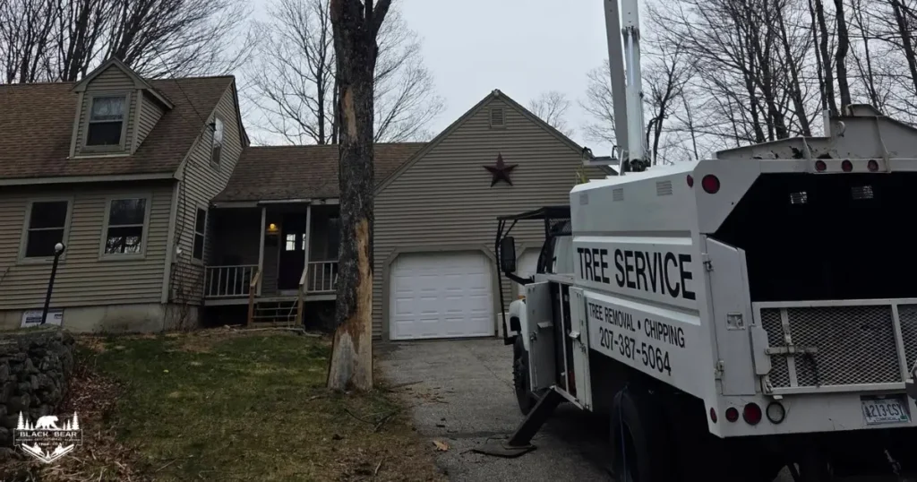 Cost to Remove a Large Tree in Gorham Maine Using Professional Equipment