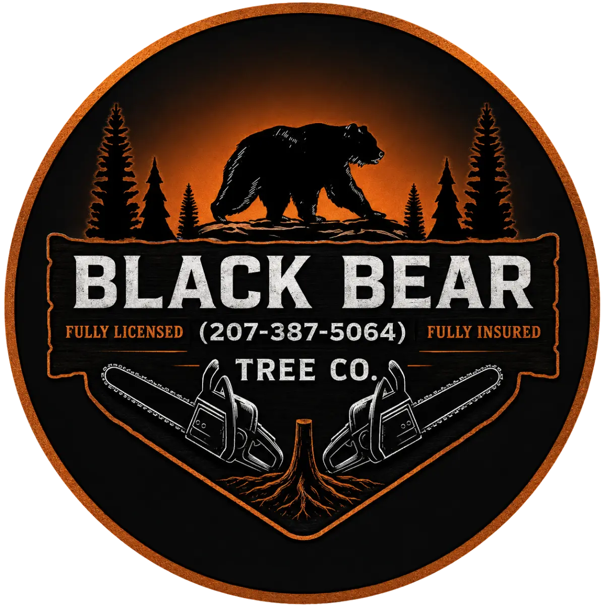Black Bear Tree Company Tree Service in Southern Maiine
