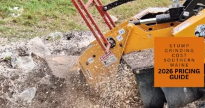 Professional stump grinding service in Southern Maine removing a large tree stump from a residential yard.