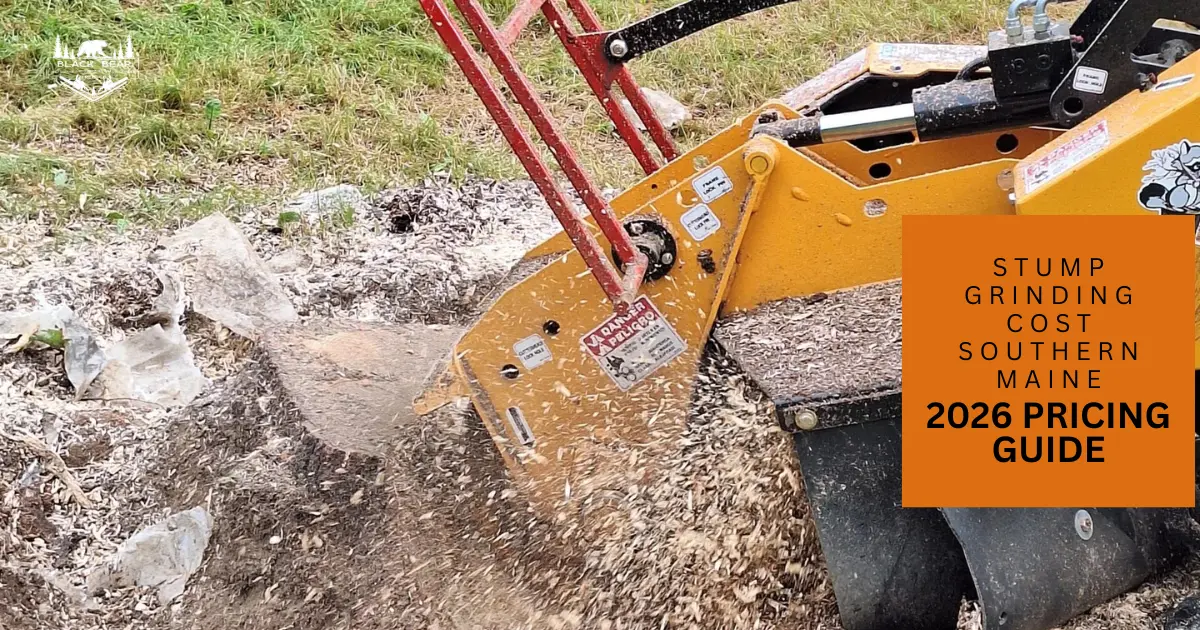 Professional stump grinding service in Southern Maine removing a large tree stump from a residential yard.
