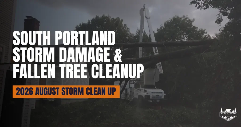 South Portland storm damage cleanup by Black Bear Tree Co. after the August 13 severe thunderstorm