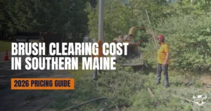 Brush clearing cost in Southern Maine by Black Bear Tree Co.