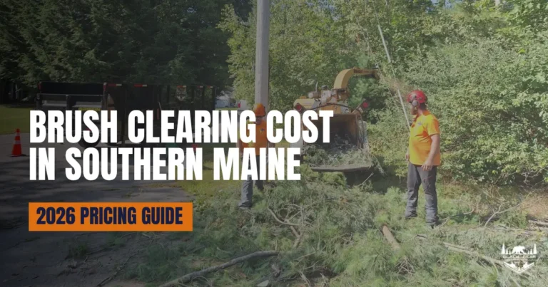 Brush clearing cost in Southern Maine by Black Bear Tree Co.