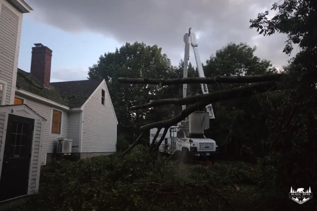 Large fallen tree against a South Portland home after the severe storm