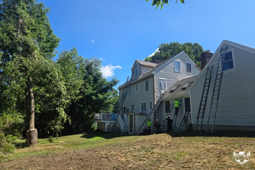 South Portland property after storm-damaged tree cleanup by Black Bear Tree Co.