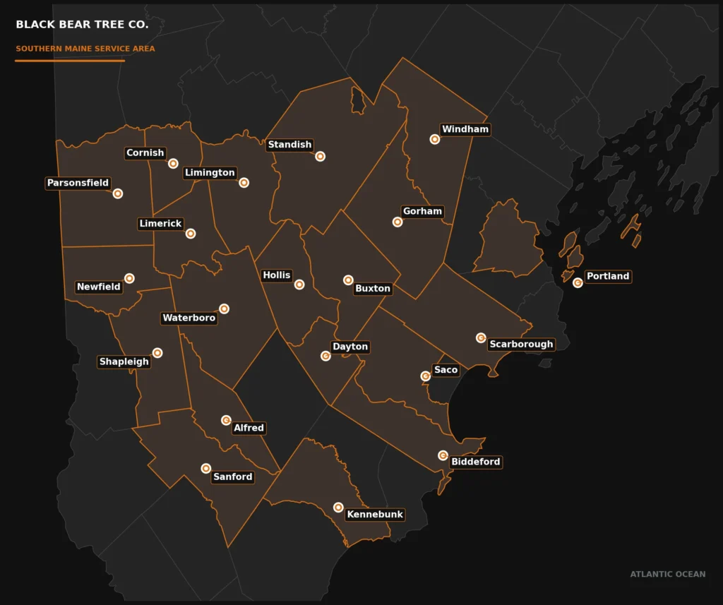 Map of tree service areas in Southern Maine served by Black Bear Tree Co.